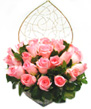 Roses of Multi Colours Packagings